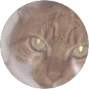 Duarte Sofia profile picture